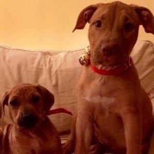 Meet your Posher, Evelyn